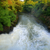 文论丨吕国康：再谈经典《永州八记》及愚溪