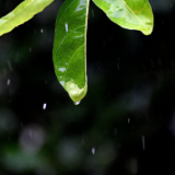 随笔丨程煜婷：在雨中起航