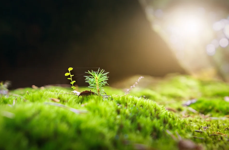 QQ截图20210425102501.png QQ截图20210425102501.png