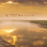 文艺论坛丨李勇、席新蕾：近三十年文学的现实主义发展路向