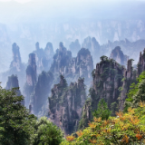 行吟诗刊丨杨清敬：到武陵源去，在云雾的故乡拾级而上