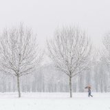 诗歌丨彭书锦：等一场大雪