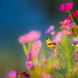 诗歌时刻丨汤涛：新年的钟声