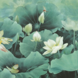 艺评丨王鲁湘:邹传安 花魂鸟魄 天地闲人