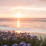 散文丨谭谈:让生命绽放另一种光彩