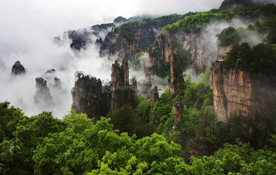 杨素琴4.jpg