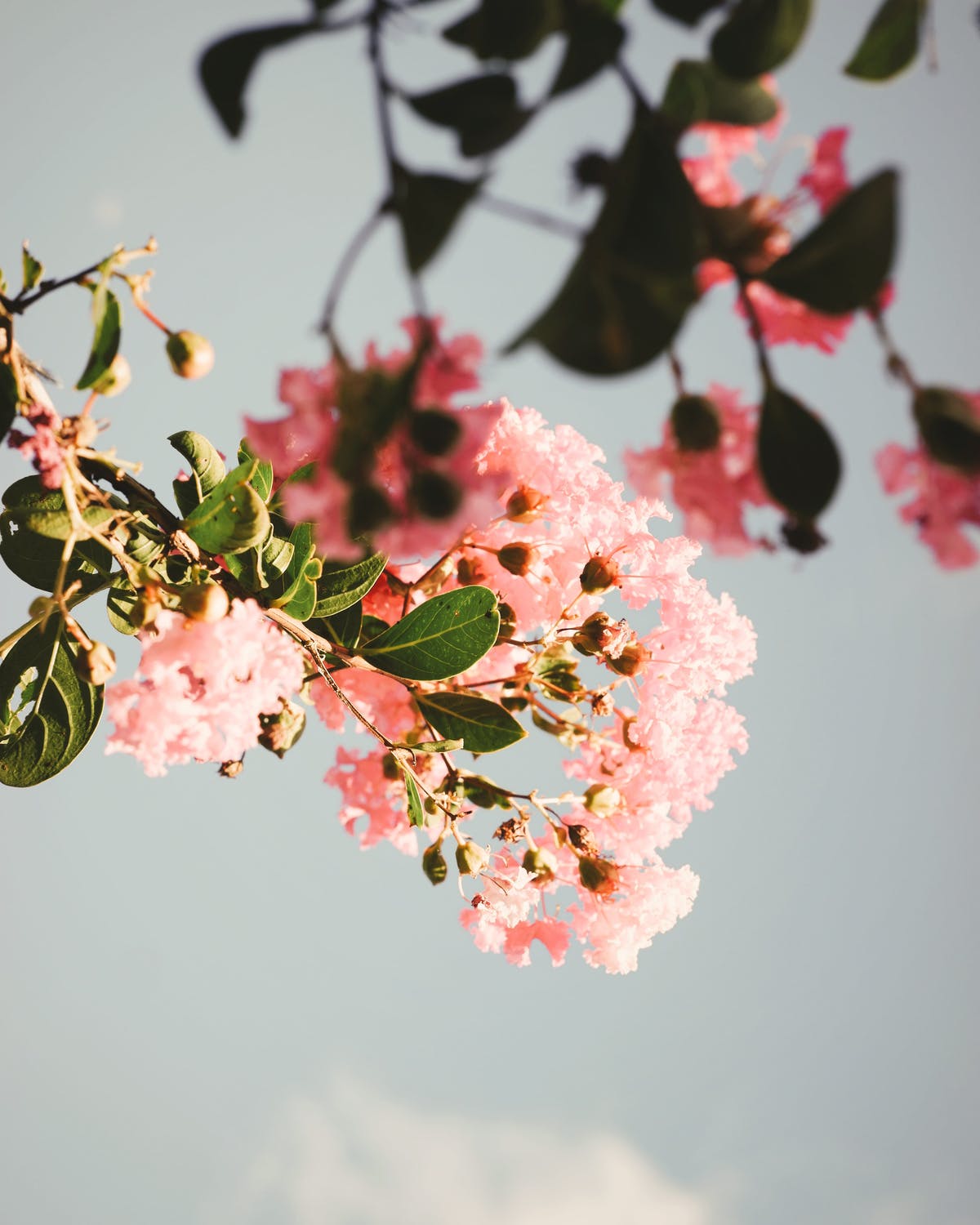 pexels-photo-6286114.jpeg