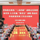 马栏山视频文创园召开全体干部职工大会