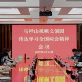 马栏山视频文创园召开专题会议 深入学习贯彻全国两会精神