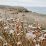 文艺论坛丨吴思敬：面对新时代，诗人何为？