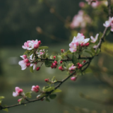 凝思杂记丨李学全：患难之交最牢靠，自食其力味最好