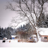 诗歌世界丨霜扣儿：半生或一生的陈词是，“看啊，千帆已过尽”