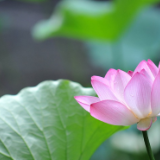 湘江文艺丨刘秀林:两个赵雨(评论)