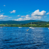 芙蓉·散文丨张杰：波希米亚河