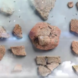 2021年度全国十大考古新发现！ 湖南澧县鸡叫城遗址了解一下