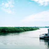 散文丨谭仲池：葱绿岸滩的清亮哨声