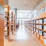 艺谈丨汤素兰：阅读，给孩子一双翅膀