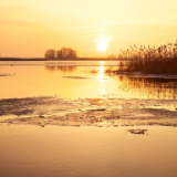 诗歌世界丨李玫瑰：夕光仿佛一件僧袍，披在我的心上