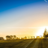 诗歌丨李少君:在无边的开阔地,我随着昏昏沉沉的大地一起醒来