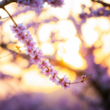 芙蓉·小说丨万宁：这个世界会好吗