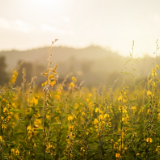 易庆安:人生漫谈