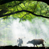 文艺论坛丨傅元峰:投向文学与历史的多重凝望