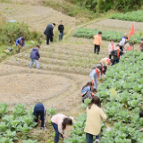 张家界市桑植县沙塔坪小学劳动实践基地正式挂牌