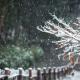 短篇小说丨蔡测海：下一场雪