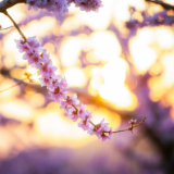 小说丨石茂海：婆媳