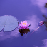 诗歌丨欧阳斌:风雨中,我们去看他