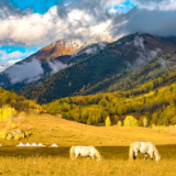 芙蓉·诗歌丨马萧萧：山海记