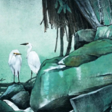 艺评丨盛景华:一花一世界——未君的画境诗情