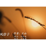 诗视频丨王山诗歌《风信子》（朗诵：高涌森 制作：洪绍乾）