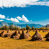 凝思杂记丨李学全：走过许多的路，回家的脚步最急促