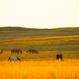 诗评丨彭书锦：新时代诗歌呼唤“大诗主义”