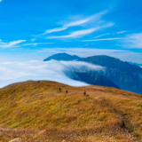 诗评丨一川:刘年是在纯粹中抵达天空的第一个凡人