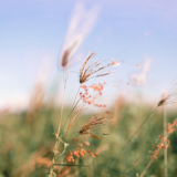 诗评丨李泽清：文字利刃解剖北漂一族，每个人都需要经历一场中年困惑