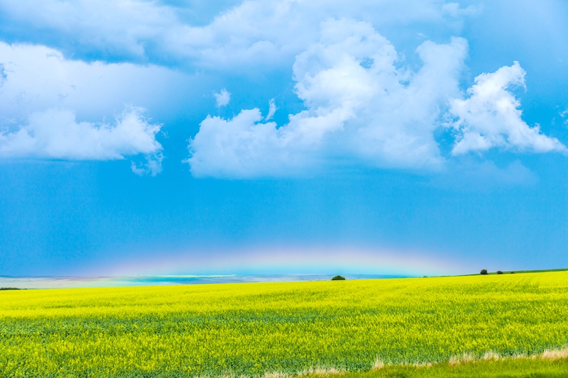 ADY200104S_副本.jpg ADY200104S_副本.jpg