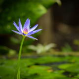 随笔丨冰洁：心在路上 梦在远方