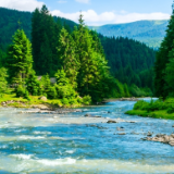 美文丨肖凌之：大山深处的梦乡