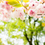 诗评丨一川：在历史的精神空间内部，留有田耘的诗性图式