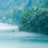 芙蓉·小说丨朱朝敏：渡鸦栖息时