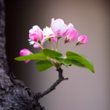 湘江文艺丨周保欣：小说的根底，与有根底的小说