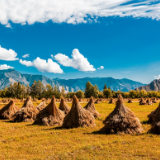 芙蓉·诗歌丨梁书正：在人间