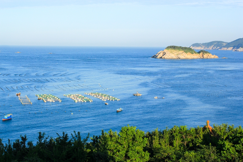 5d070045d4b4b_副本.jpg
