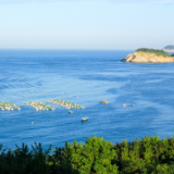 湘江文艺丨鲁子：诗歌擒拿术（组诗）