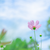芙蓉·小说丨方晓：没听说有什么坏消息