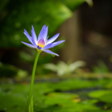 湘江文艺丨陈群洲：菩萨崖有春天的风暴（外二首）