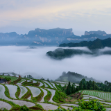 行吟诗刊丨欧阳斌：张家界人物之李自成