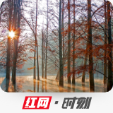 永州八记丨柳宗元《小石潭记》 永州八记丨柳宗元《小石潭记》